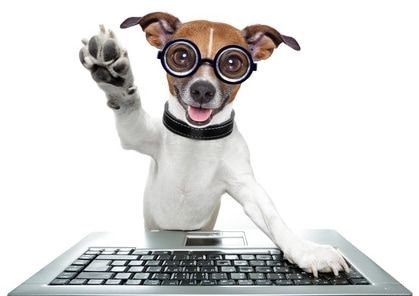 Köpeğinizi Online Eğitim ile Evde Eğitmeye Hazır Mısınız?