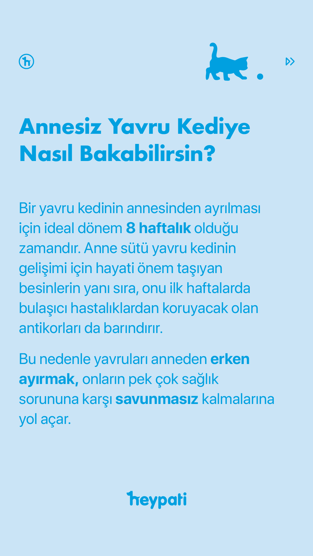 Annesiz Yavru Kedi Bakımı