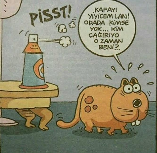 KEDİLER KENDİ İSİMLERİNİ ANLAYABİLİR Mİ?
