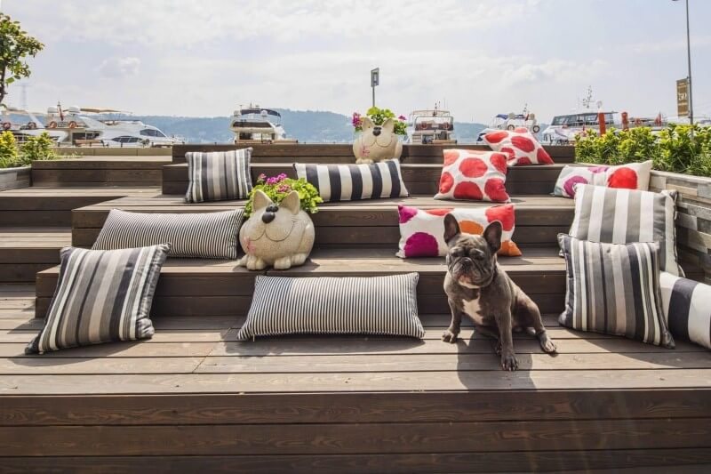Arnavutköy’de Bir Köpek Cafesi