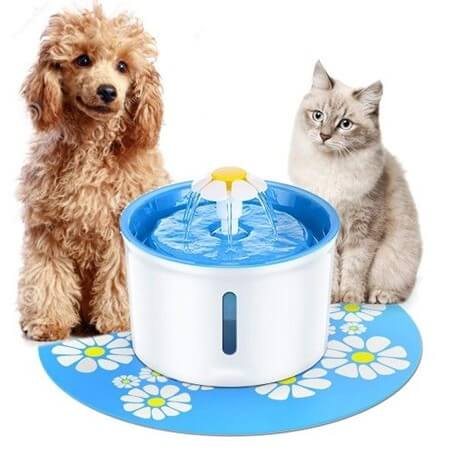 Kedi ve Köpeklerde Su Tüketimi
