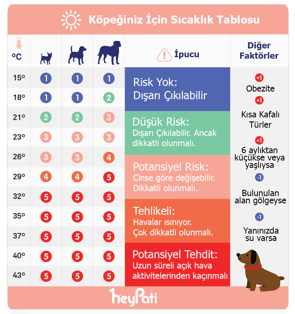 Köpeğiniz İçin Hava Ne Kadar Sıcak?