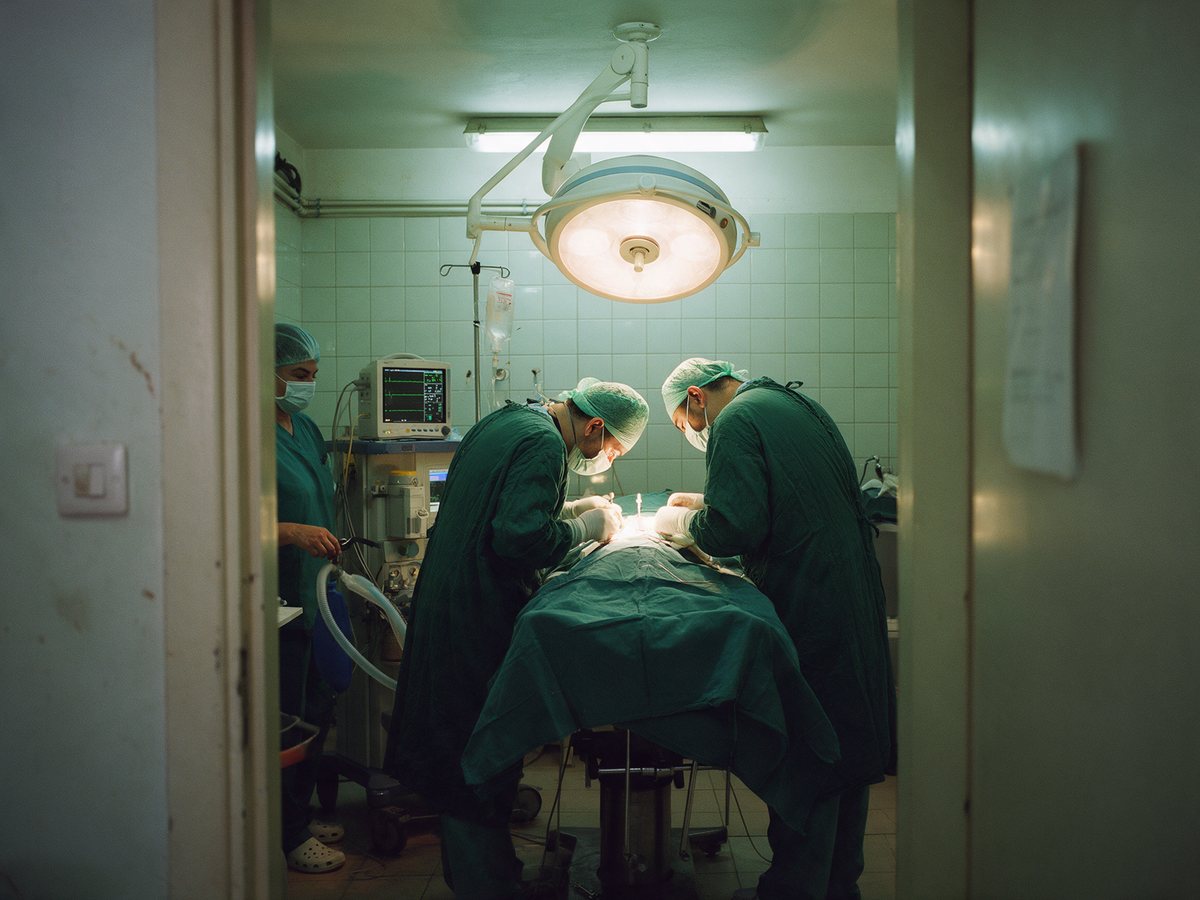 Veteriner ameliyathanesinde operasyon