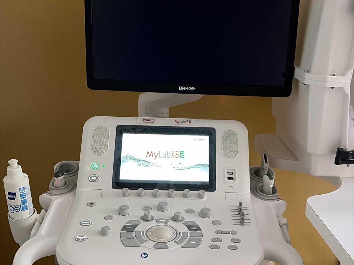 Heypati kliniğindeki Esaote MyLab ultrason cihazı