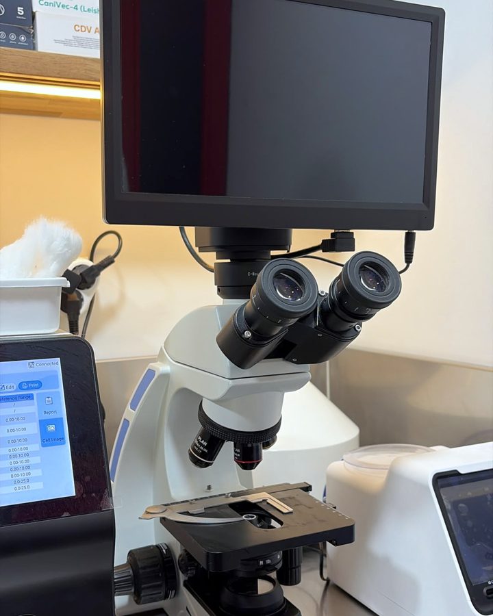 Abaxis VetScan kameralı mikroskop