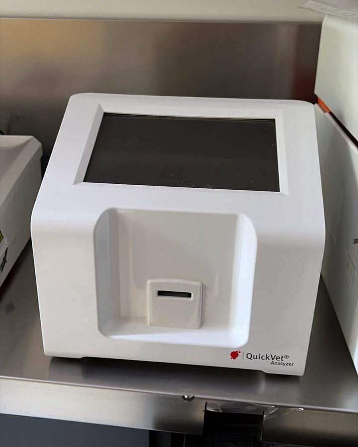 QuickVet kan grubu ve pıhtılaşma analizörü