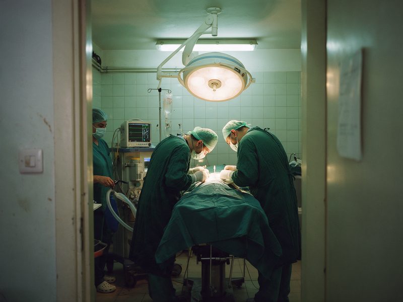 Veteriner ameliyathanesinde operasyon